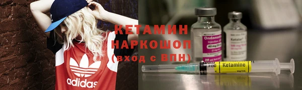 прущие грибы Богданович