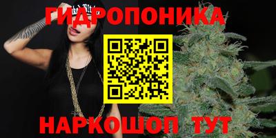 ешки Гатчина