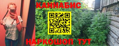 кокс Гай