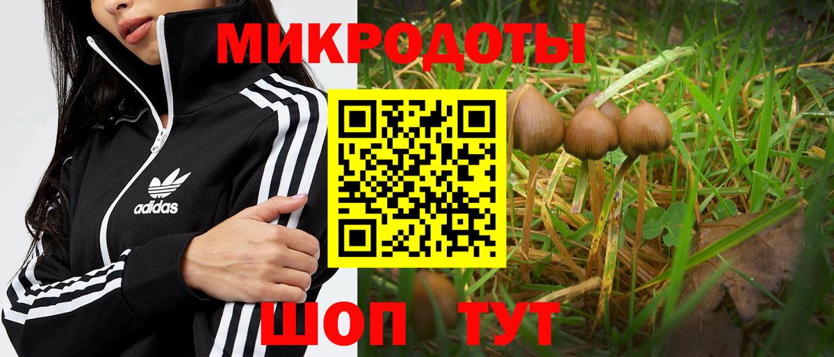 Галлюциногенные грибы мицелий  купить наркотики цена  Вход с VPN  Жуковский  Псилоцибиновые грибы прущие грибы 