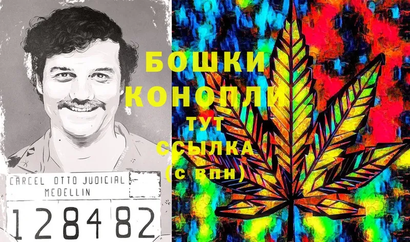 Бошки марихуана LSD WEED  магазин  наркотиков  Жуковский 